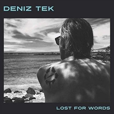 Deniz Tek - Lost For Words (Vinyl)