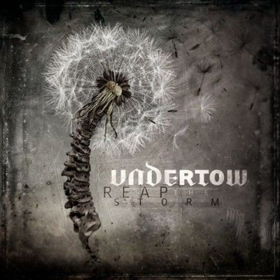 Reap the Storm (CD / Album)