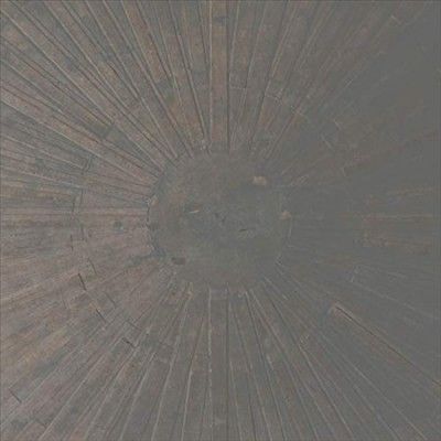 William Basinski - Selva Oscura (Vinyl)