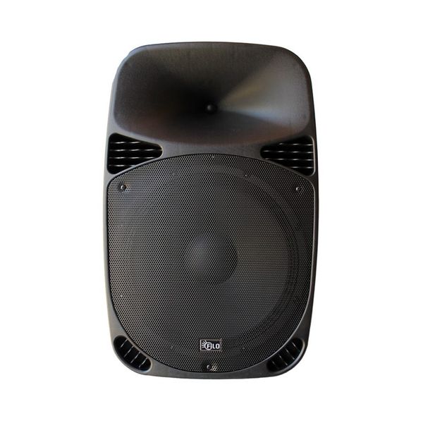 FILO FCA12 Passive Moulded Speaker - 12'' (250W)