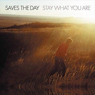 Saves The Day - Stay What You Are (Vinyl)
