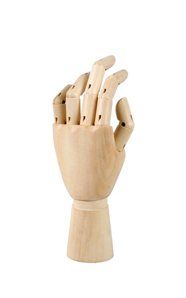 Rolfes Male Adjustable Left Hand Model Manikin 30.48cm