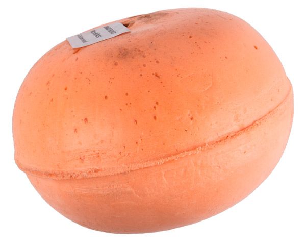 Dorado - Gardening Tools - Parts &amp; Accessories - Float Valve Ball - 12mm