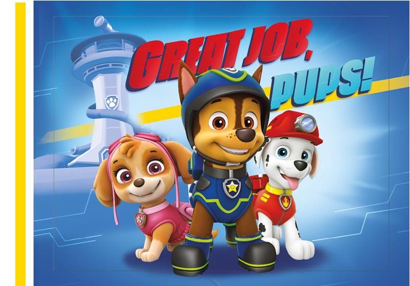 Paw Patrol Boys Non Woven Shopping Bag