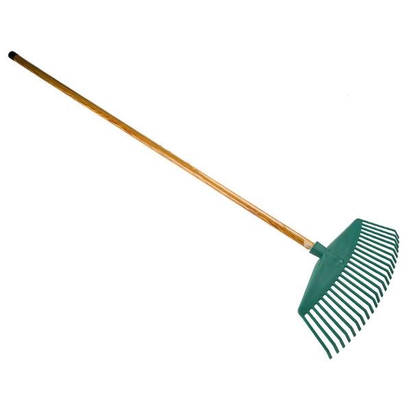 Single Rake with Handle | Shop Today. Get it Tomorrow! | takealot.com