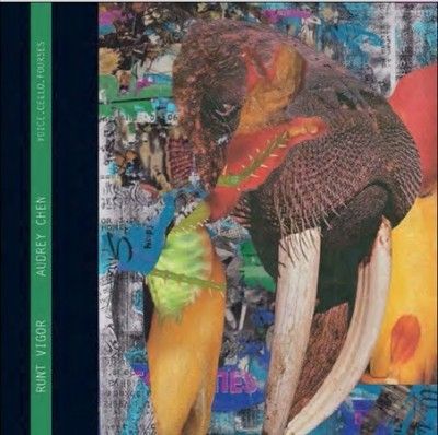 Runt Vigor (Vinyl / 12" Album)