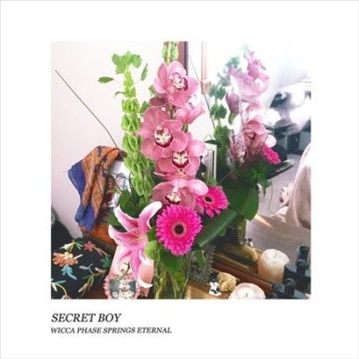 Wicca Phase Springs - Secret Boy (Vinyl)