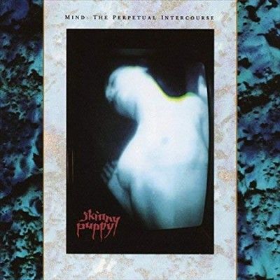 Mind - The Perpetual Intercourse (Vinyl)