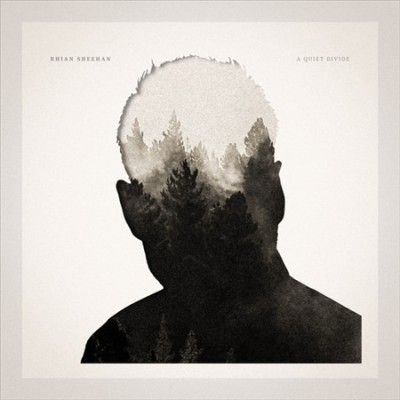 A Quiet Divide (Vinyl / 12" Album)