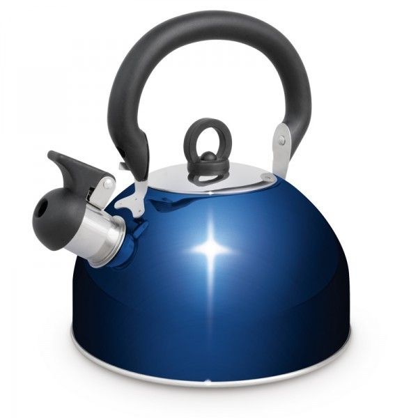 Campfire Stainless Steel Whistling Kettle Buy Online in South Africa
