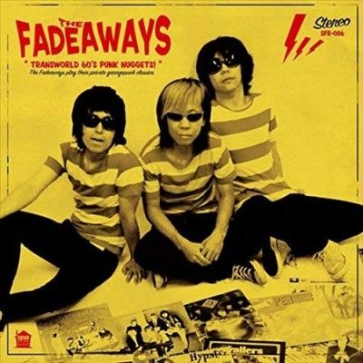 Transworld 60's Punk Nuggets (Vinyl / 12" Album)