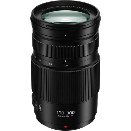 Panasonic 100mm-300mm/F4.0-5.6 Lens