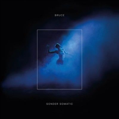 Sonder Somatic (Vinyl / 12" Album)