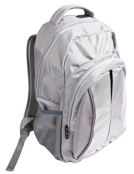 Marco Sector Laptop Backpack - Silver