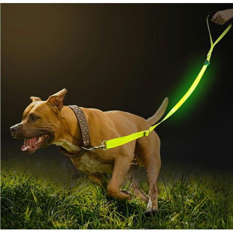 lighted leash