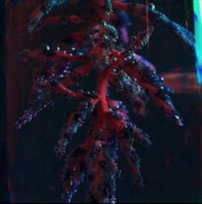 Objekt - Cocoon Crush (CD)