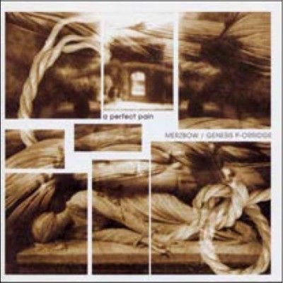 Merzbow - Perfect Pain (Vinyl)