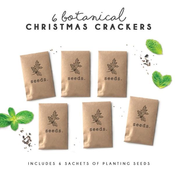 Holly &amp; Ivy - Boutique Botanical