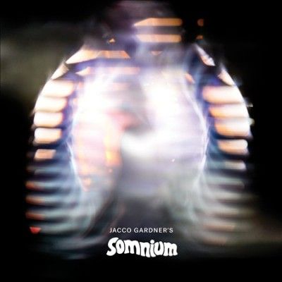 Jacco Gardner - Somnium (CD)