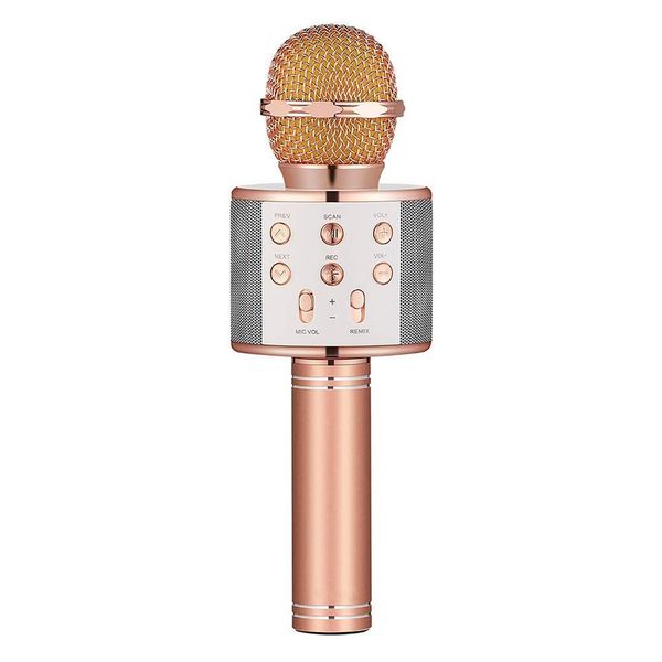 Raz Tech Wireless Microphone Karaoke Speaker For Smartphones - Rose Gold