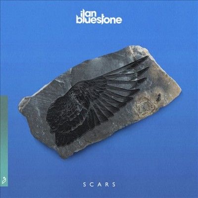 Scars (Vinyl / 12" Album)
