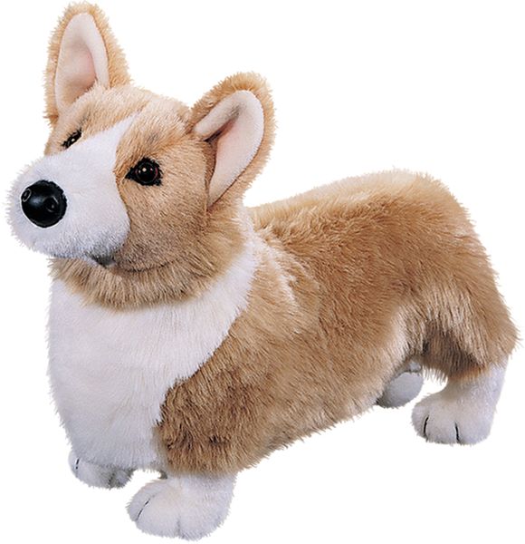 Douglas Chadwick Corgi