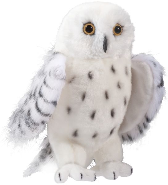 Douglas Legend Snowy Owl