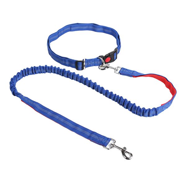 Adjustable Waist Belt Dual Handle Pet Leads
