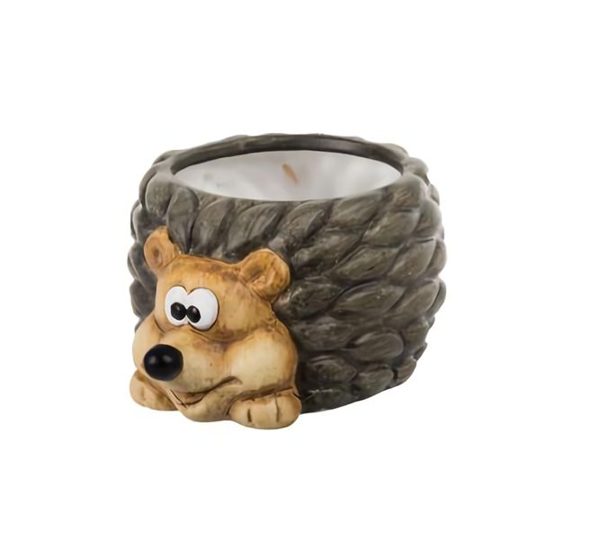 Bulk Pack x 4 Planter Ceramic Hedgehog 18cm