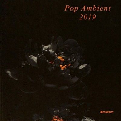 Various - Pop Ambient 2019 (CD)