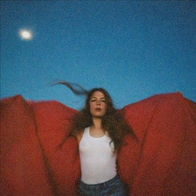 Heard It in a Past Life (Vinyl / 12" Album)