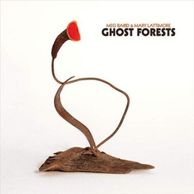 Meg Baird - Ghost Forests (Vinyl)