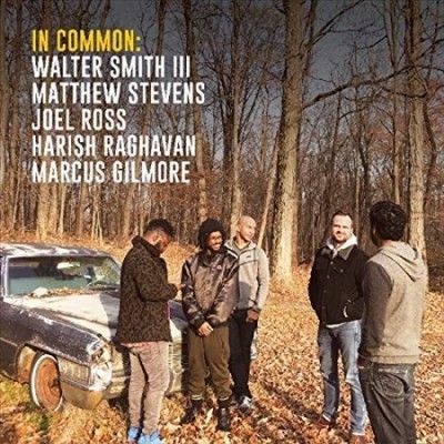 In Common (Vinyl / 12" Album)