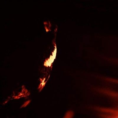 Stormcrowfleet (Vinyl / 12" Album)