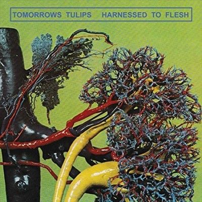 Tomorrows Tulips - Harnessed To Flesh (Vinyl)
