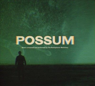 Possum (CD / Album)