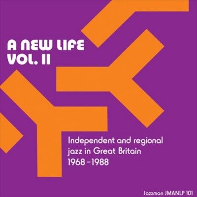 A New Life (Vinyl / 12" Album)