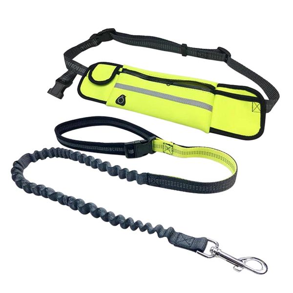 Dog Leash &amp; Detachable Waist Bag