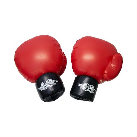 boxing gloves takealot