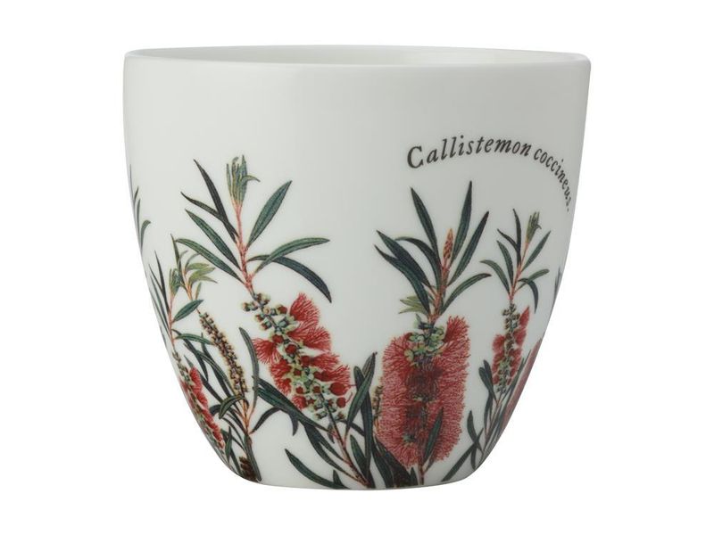 Maxwell &amp; Williams - Royal Botanic Garden Tea Light Holder - Bottle Brush