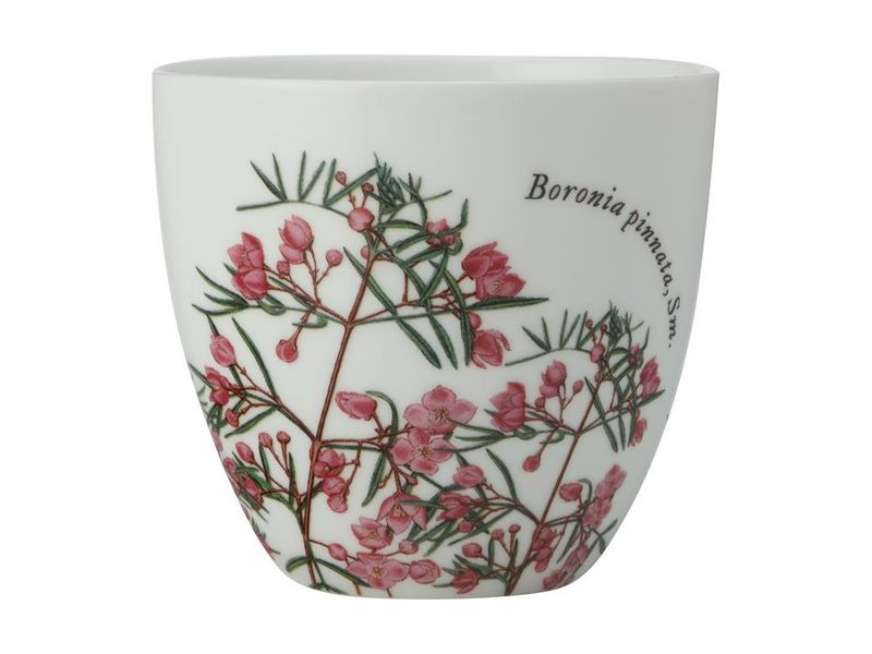 Maxwell &amp; Williams - Royal Botanic Garden Tea Light Holder - Boronia