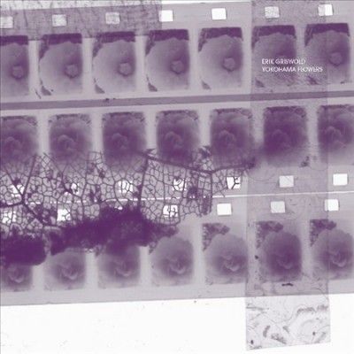 Erik Griswold - Yokohama Flowers (CD)