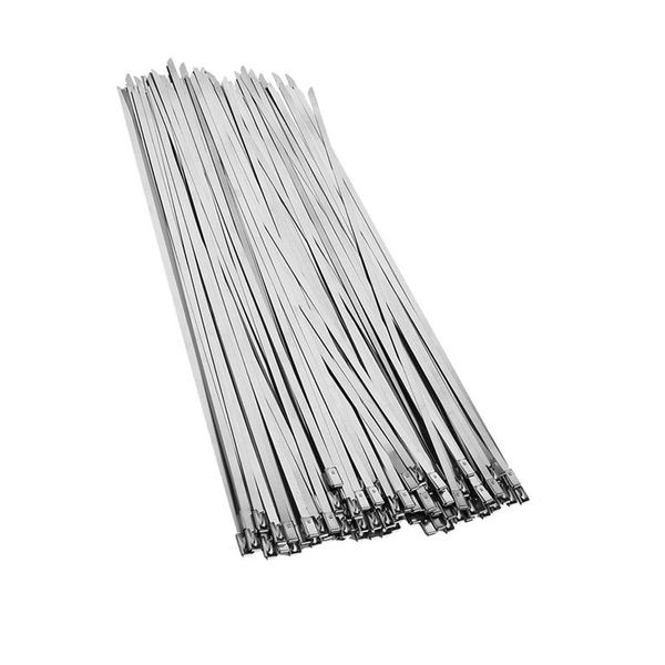 100 Pieces Stainless Steel Locking Cable Ties