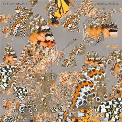 Dolphin Midwives - Liminal Garden (Vinyl)