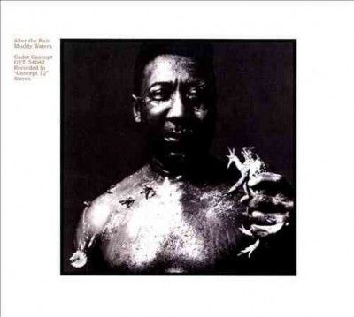 Muddy Water - After The Rain (Vinyl)
