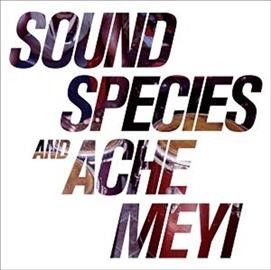 Soundspecies - Soundspecies And Ache Meyi (Vinyl)