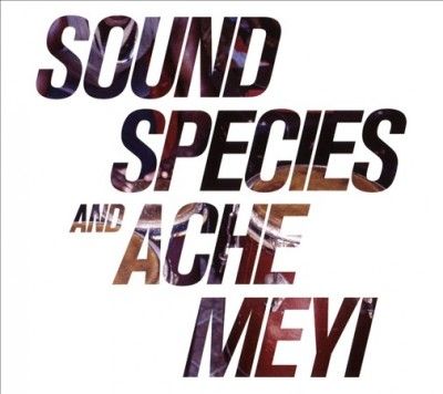 Soundspecies - Soundspecies And Ache Meyi (CD)