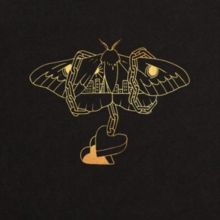 Gold in a Brass Age (Vinyl / 12" Album)