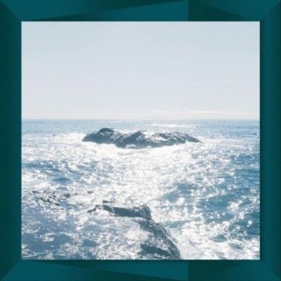 Takao - Stealth (Vinyl)