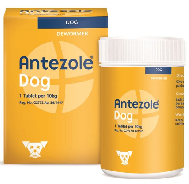 Antezole - Deworming Tabs 50's For Dogs (2 Pack)